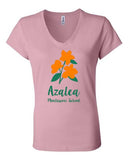 Azalea Montessori Two Color V-neck T-shirt
