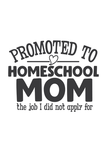 Promoted to homeschool mom