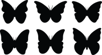 Butterfly 114