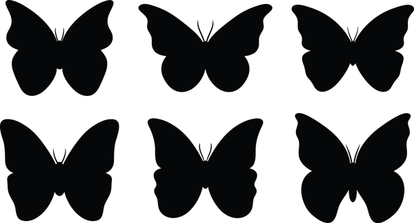 Butterfly 114