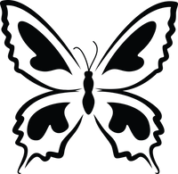 Butterfly 55