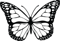 Butterfly 58