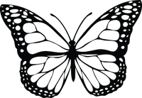 Butterfly 64