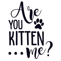 Are you kitten me?
